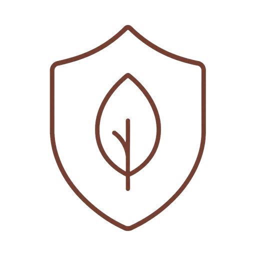 Icon shield